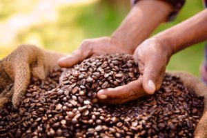 What Is Fair Trade Coffee?