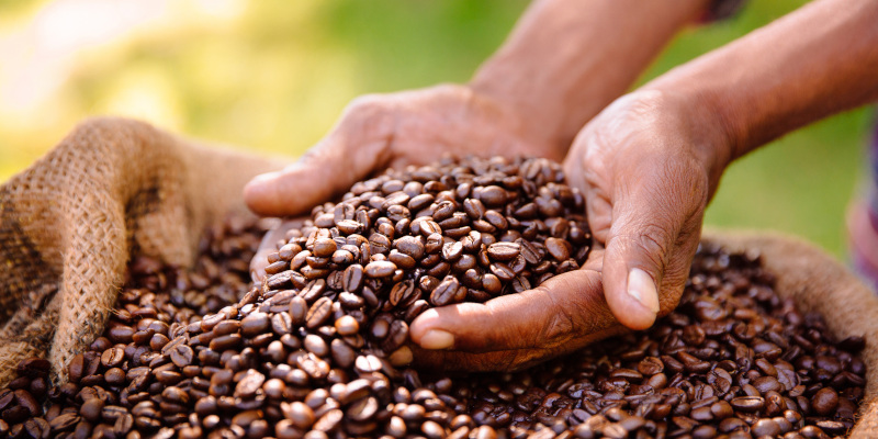 What Is Fair Trade Coffee?